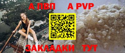 прущие грибы Можга