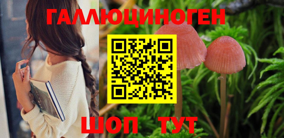 Галлюциногенные грибы GOLDEN TEACHER  Вход с VPN  Томск 